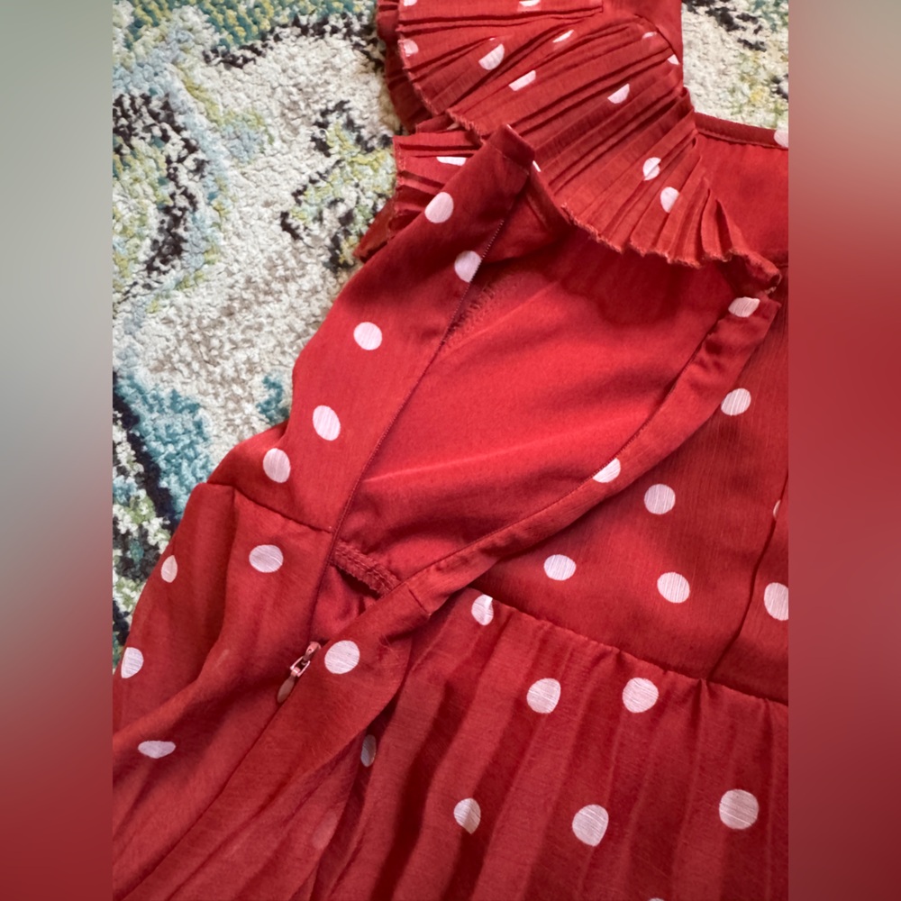 Red Polka Dot Pleated Dress - Picture 10 of 10